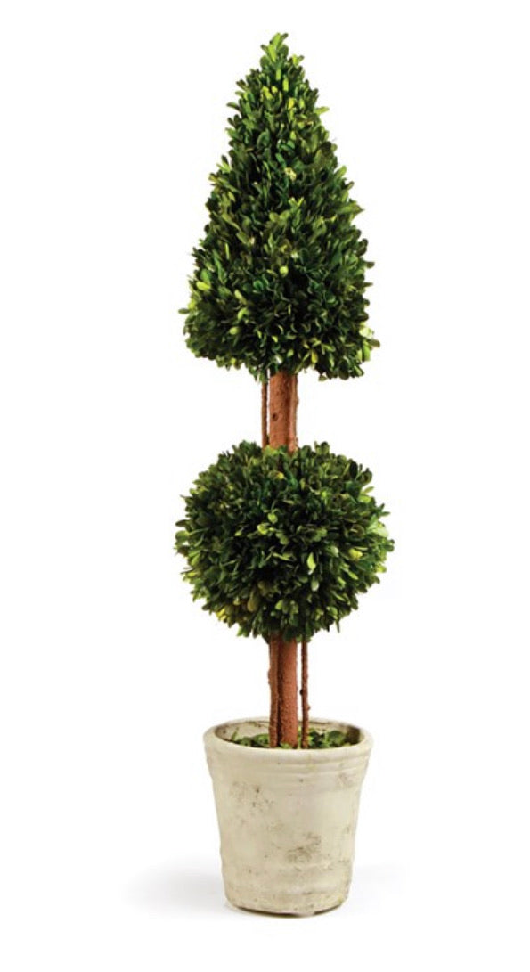 Boxwood Cone & Ball Topiary in Pot 36”