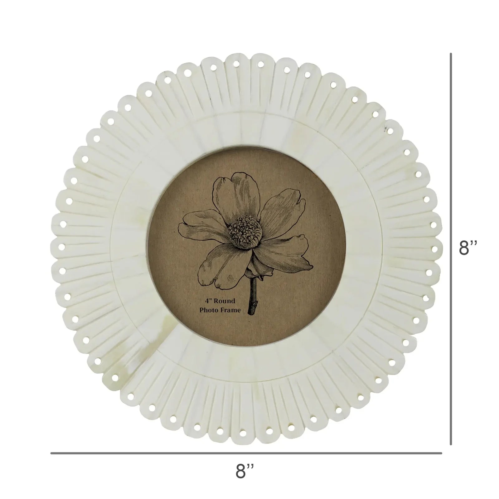 Scalloped Bone Frame