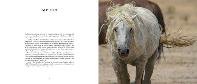Wild Horses of the West : photography coffee table book