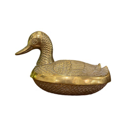 Mallard Duck