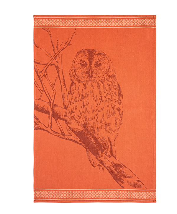 The Owl - Jacquard Tea Towel in Cotton