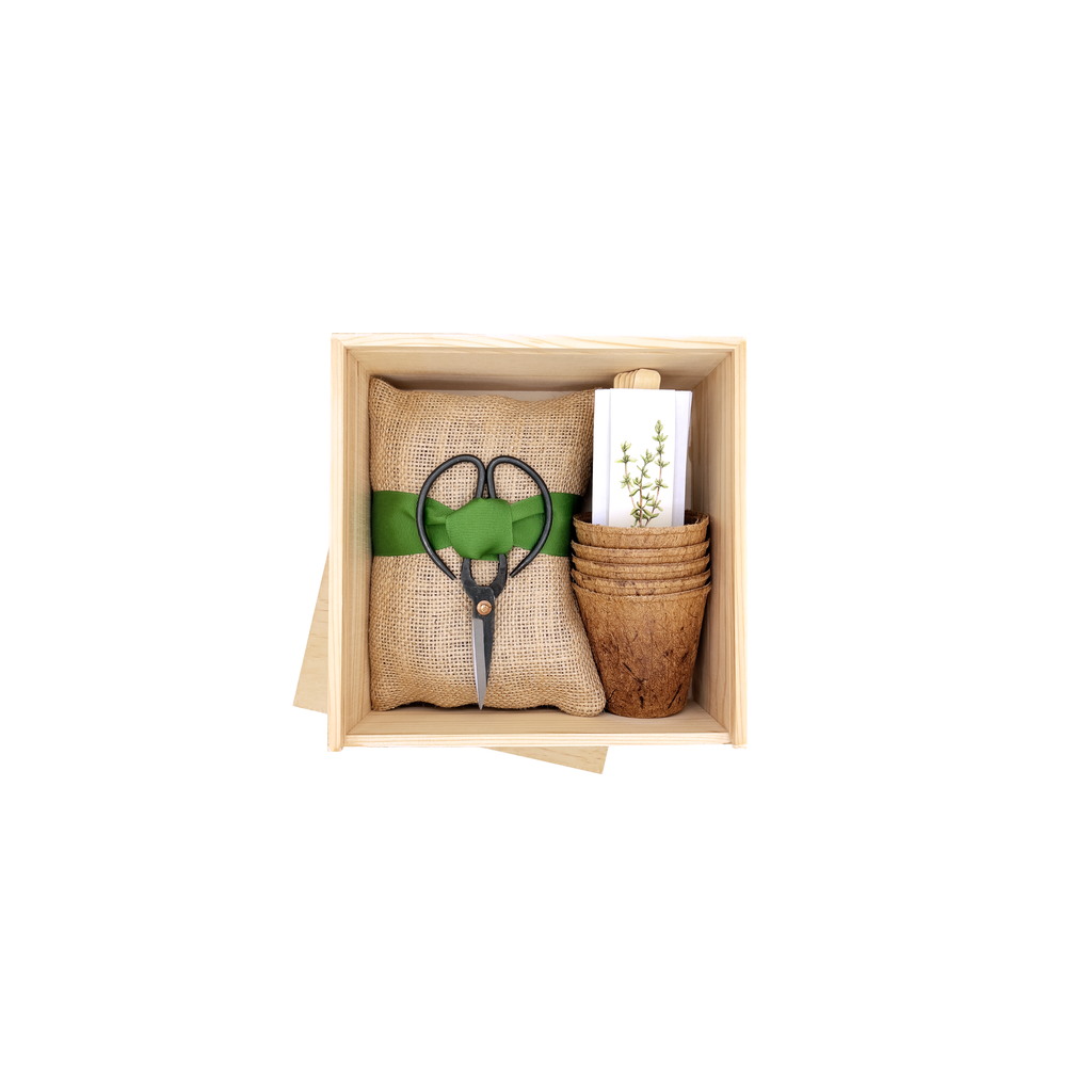 Culinary Herb Garden Box