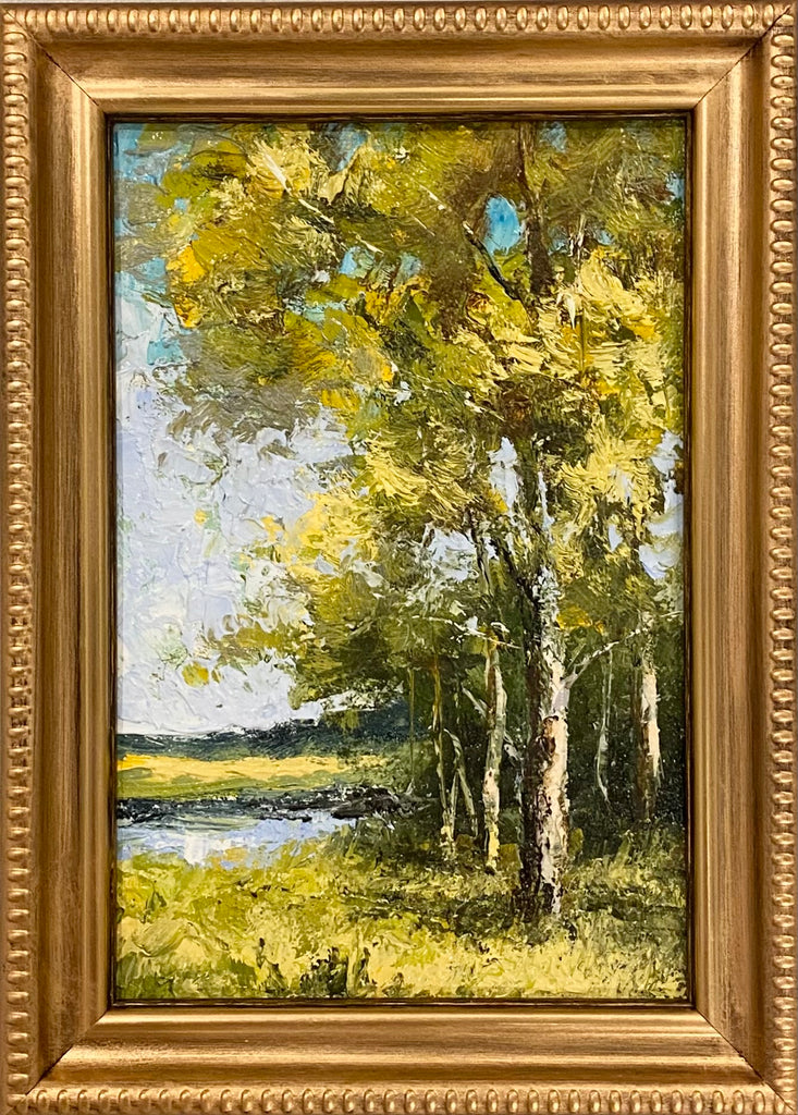 Birch Trees