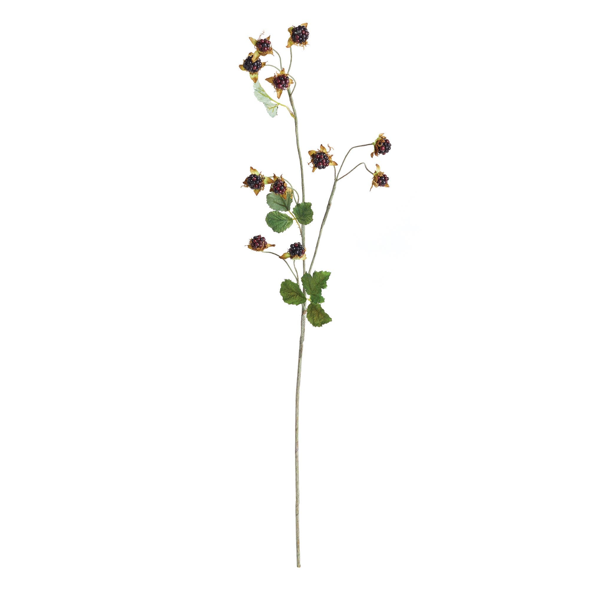 Faux Wild Blackberry Stem