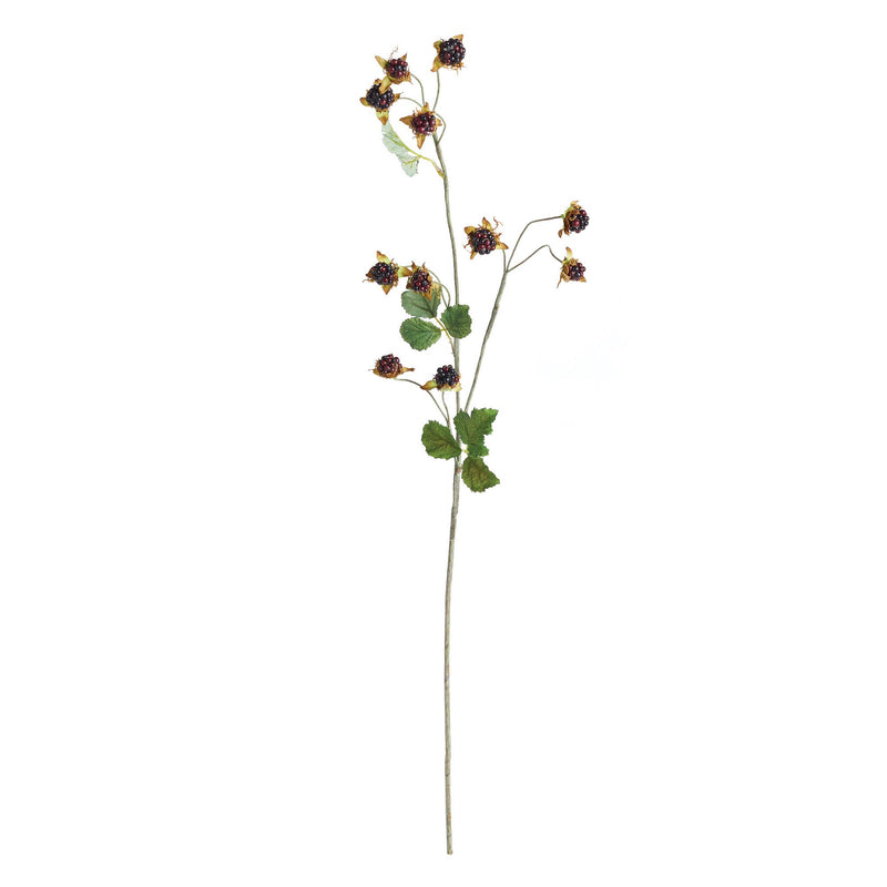 Faux Wild Blackberry Stem