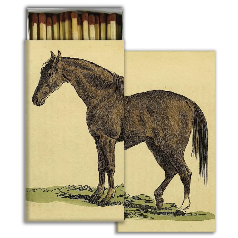 A Horse Matches