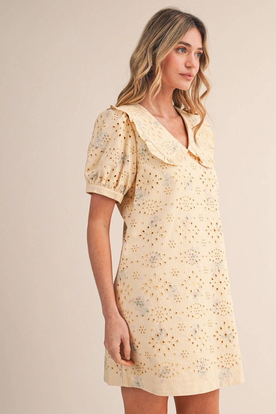 Floral Eyelet Striped Mini Dress