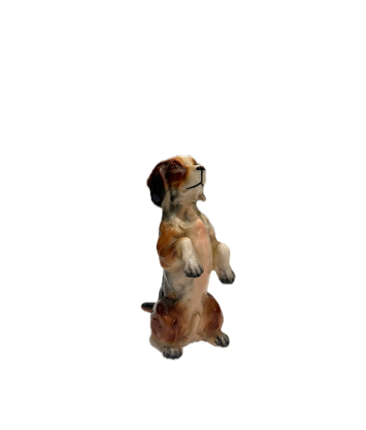 Doggies