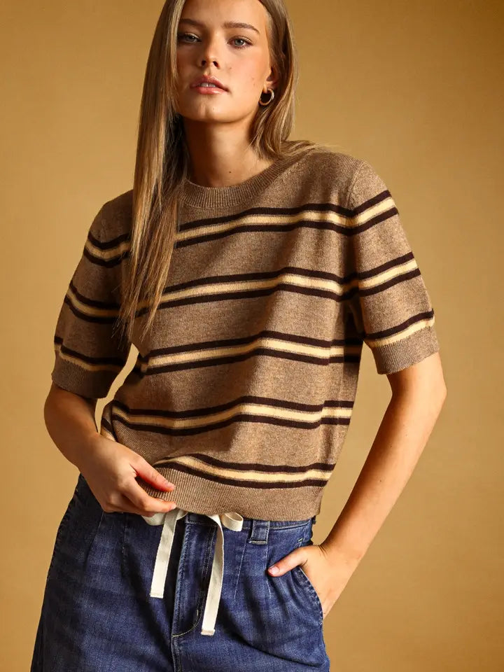 Stripe Pattern Short Sleeve Knit Top