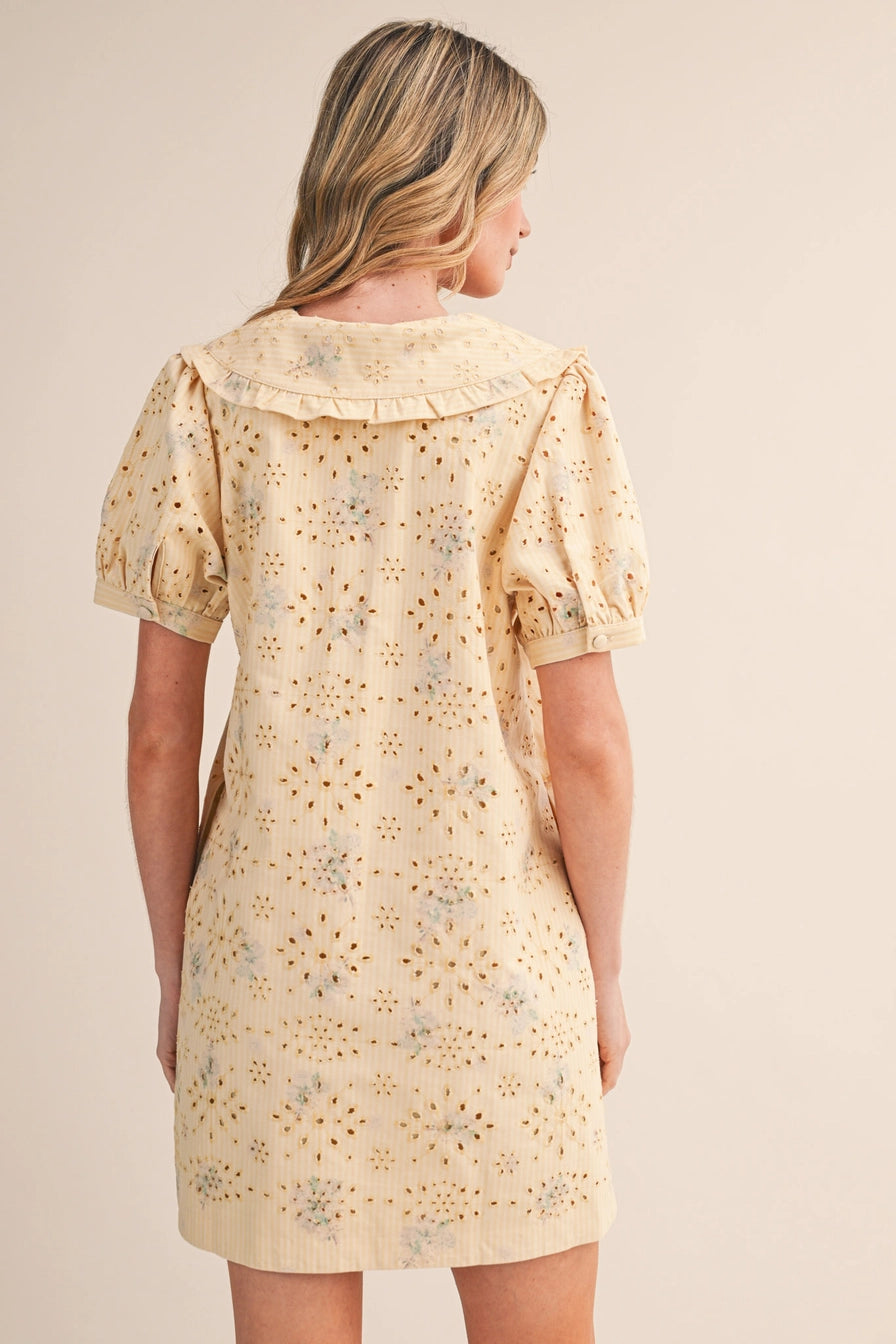 Floral Eyelet Striped Mini Dress