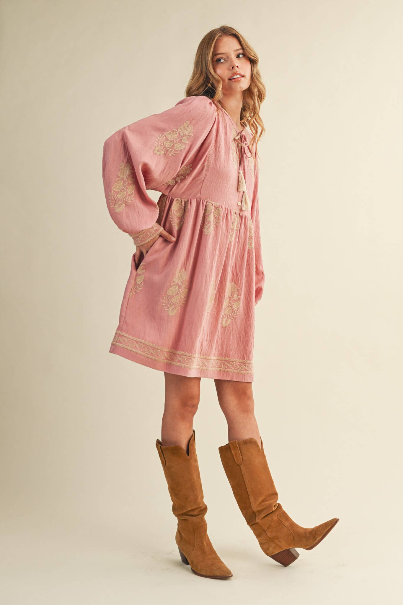 Embroidered Long Puff Sleeve Mini Dress