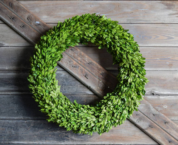 Preserved Boxwood  Wreath, asst. sizes