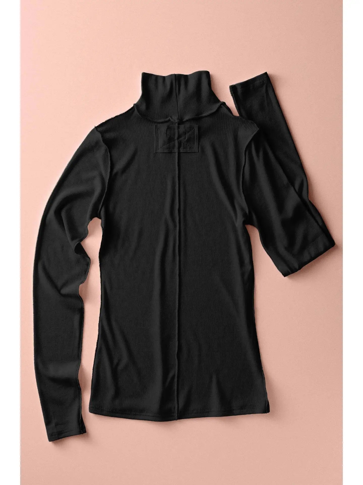 Contrast Seam Turtleneck Knit Top