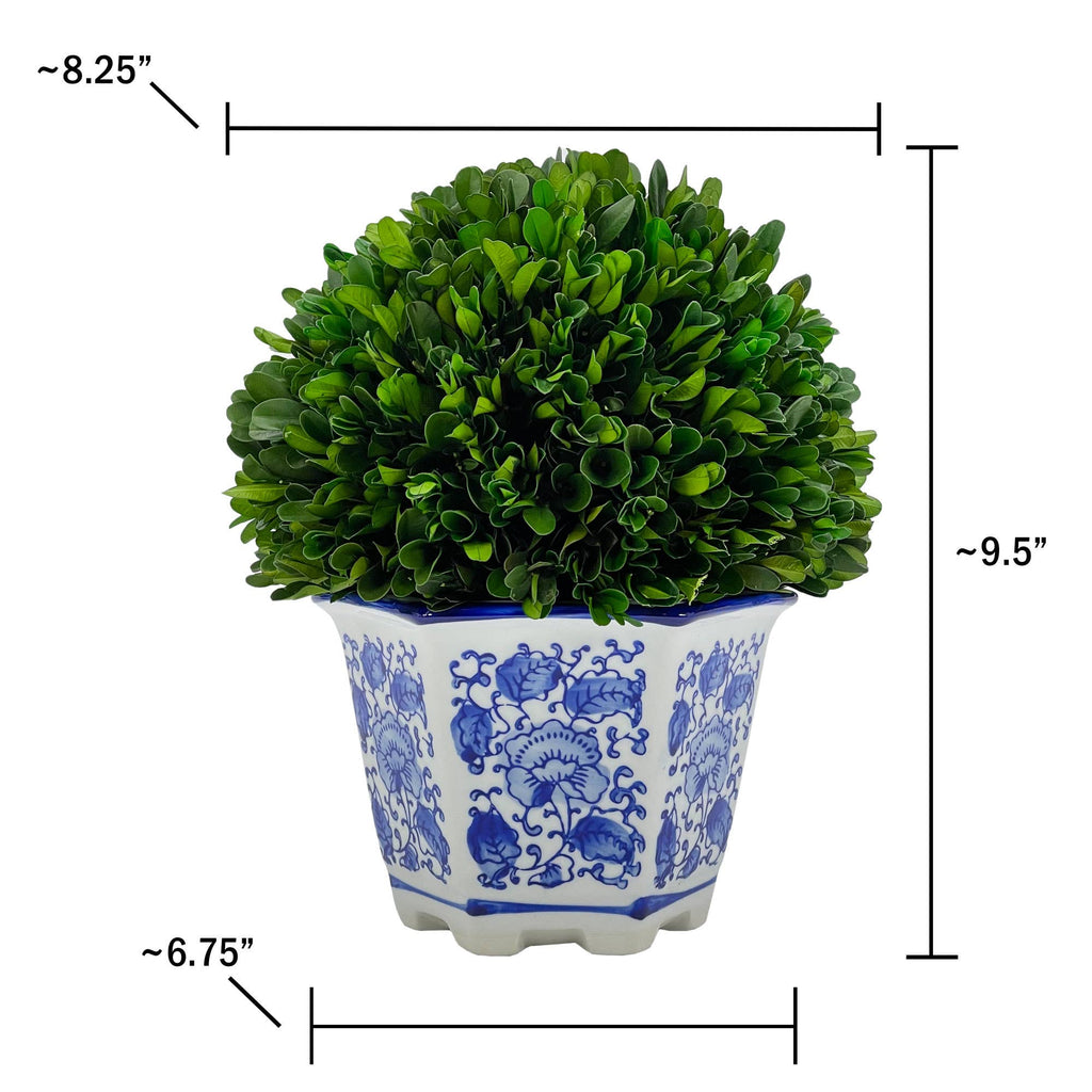 Boxwood Ball Topiary in Hexagon Blue & White Ceramic Pot