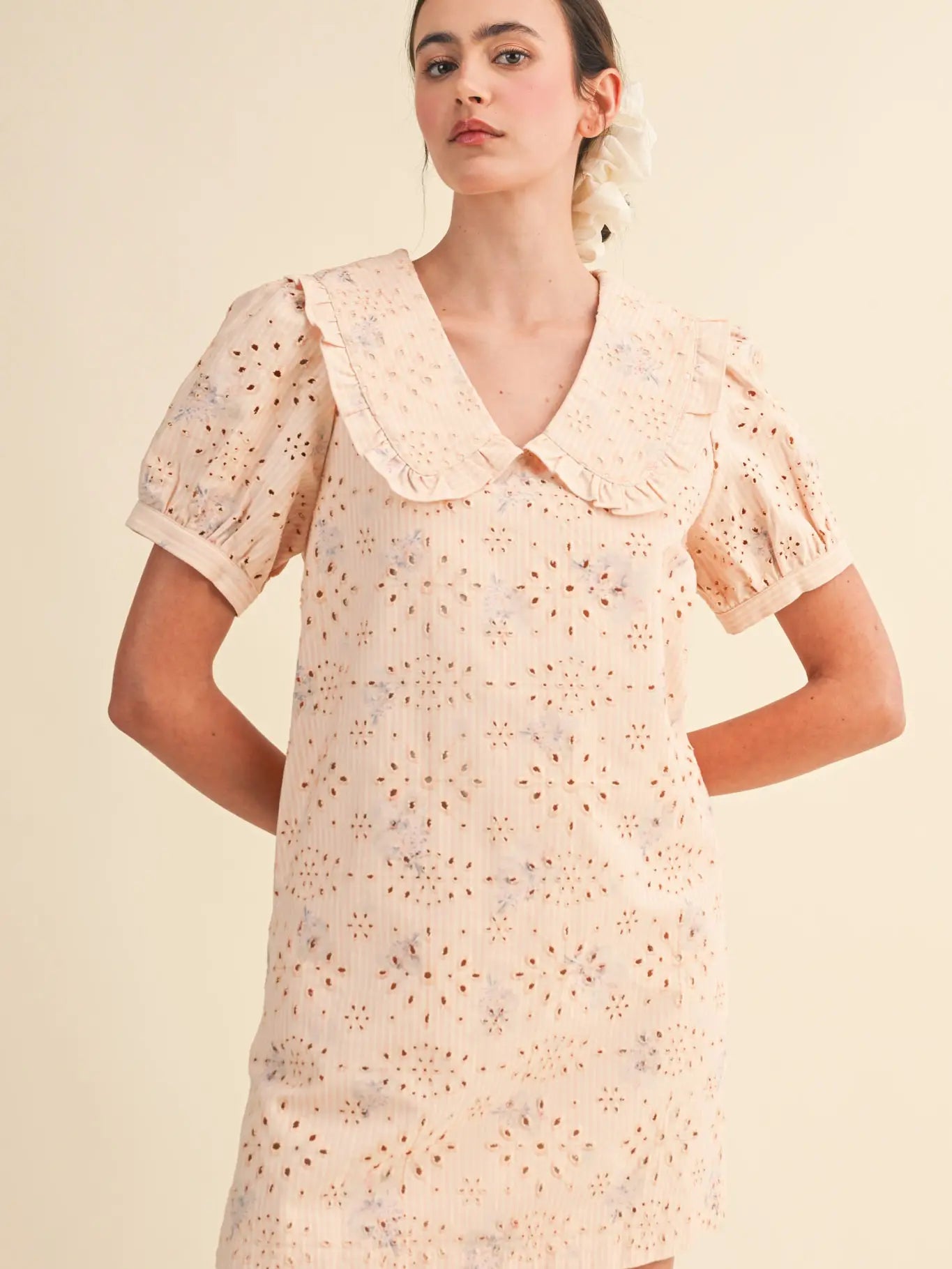 Floral Eyelet Striped Mini Dress