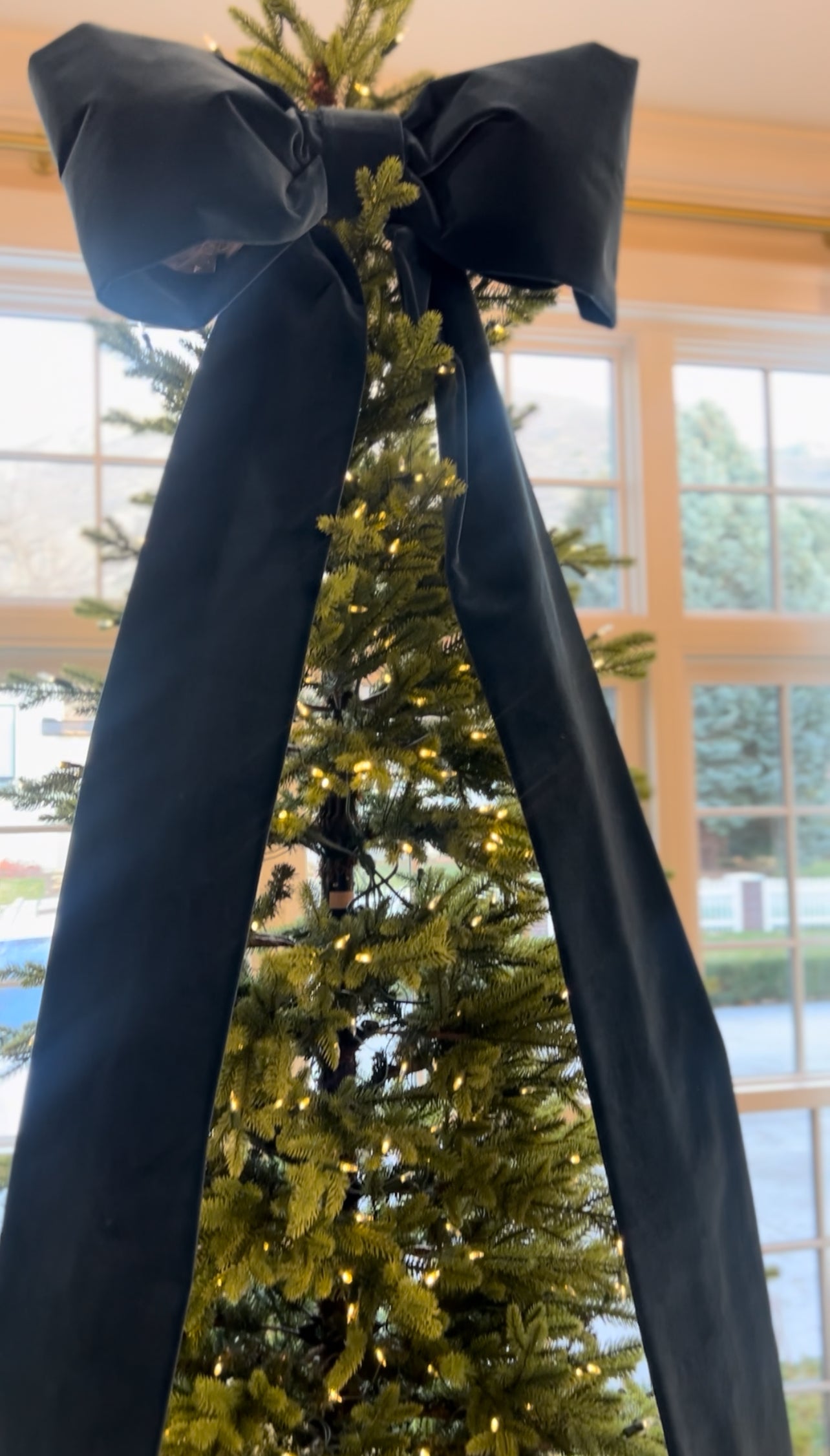 Velvet Navy Bow and Tree Skirt