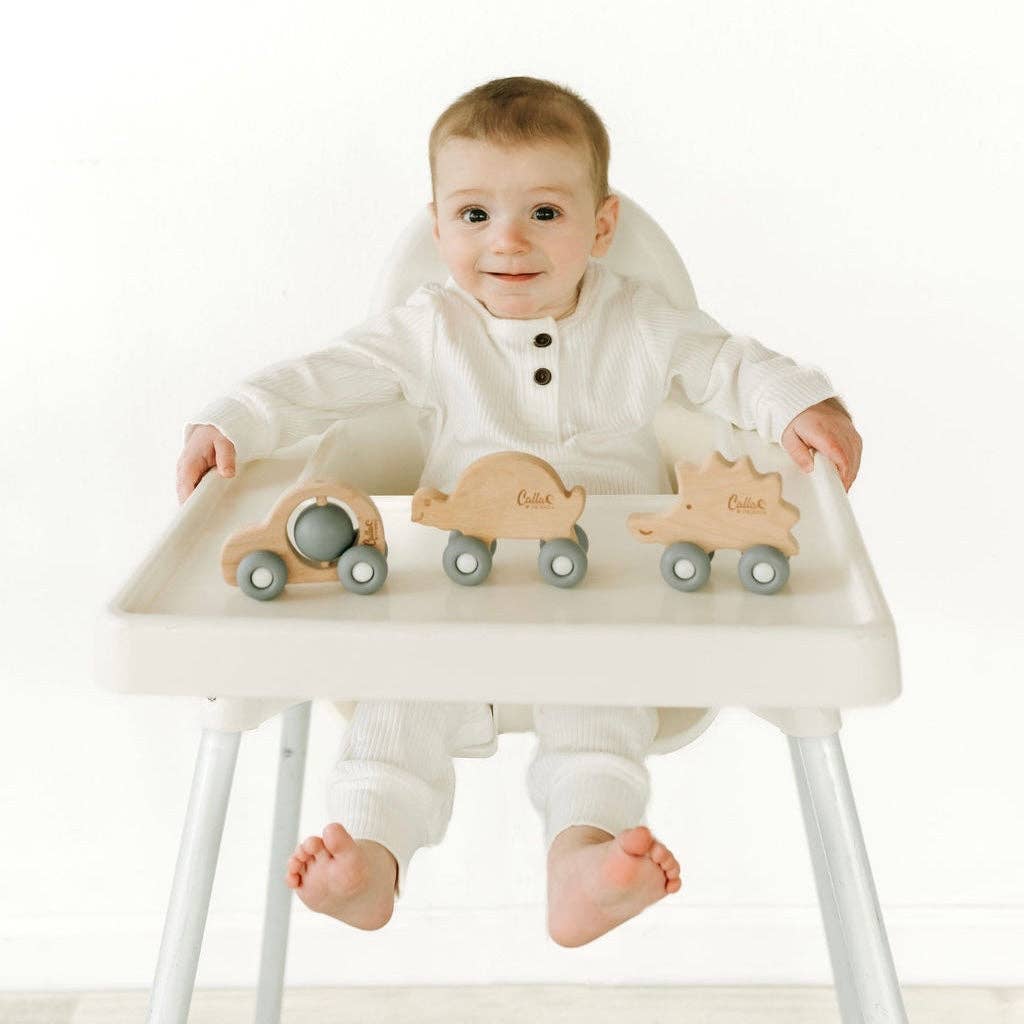 Car Silicone & Beechwood Teether Toy