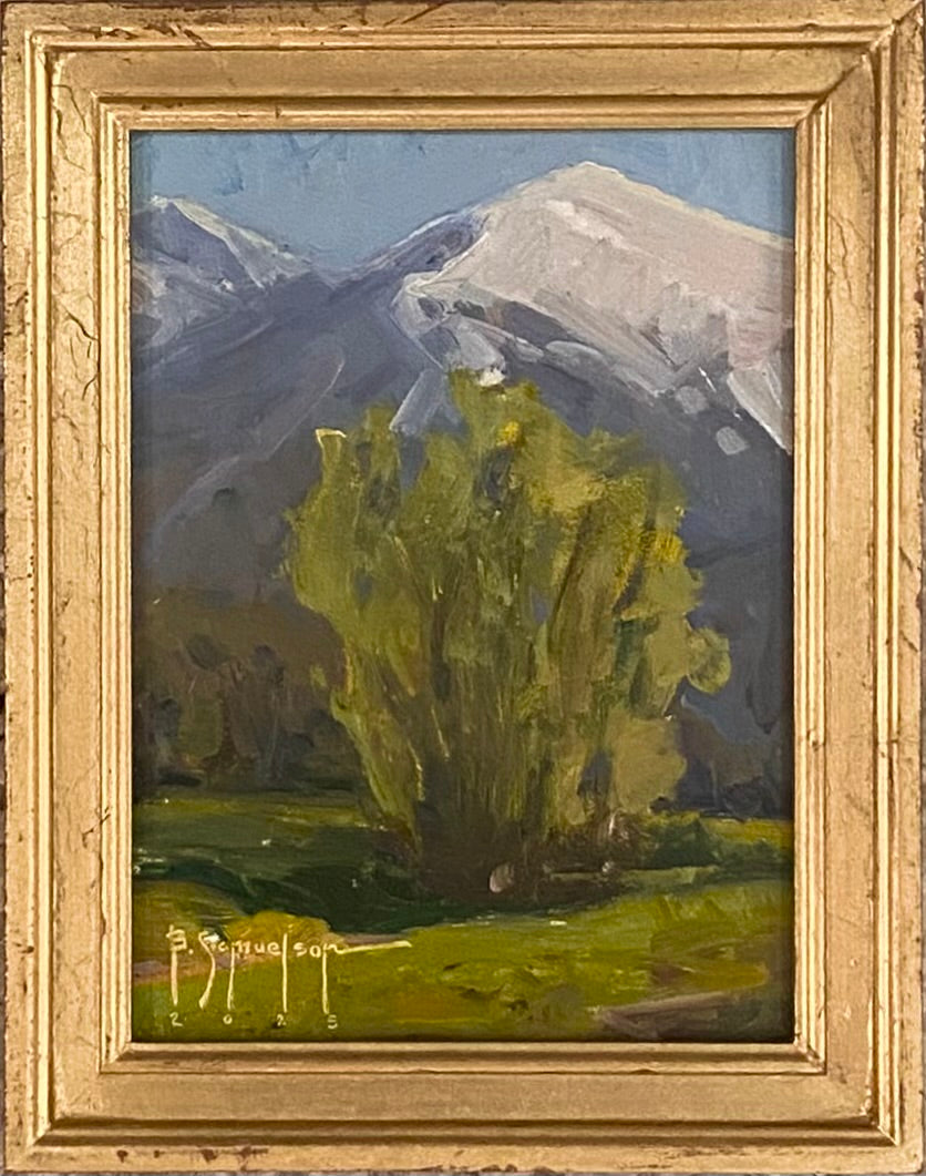 Maple Mountain and Springtime