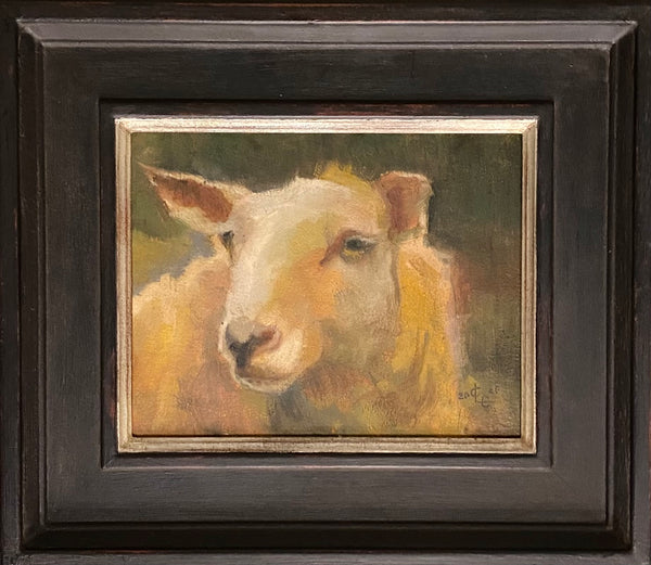 My Sheep Hear My Voice