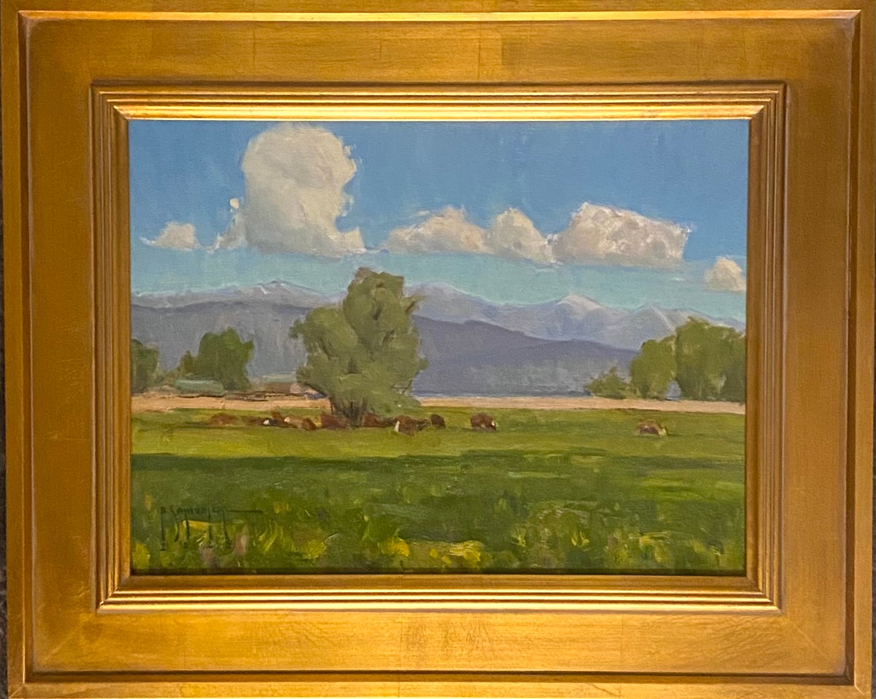 Spring Morning Line Up