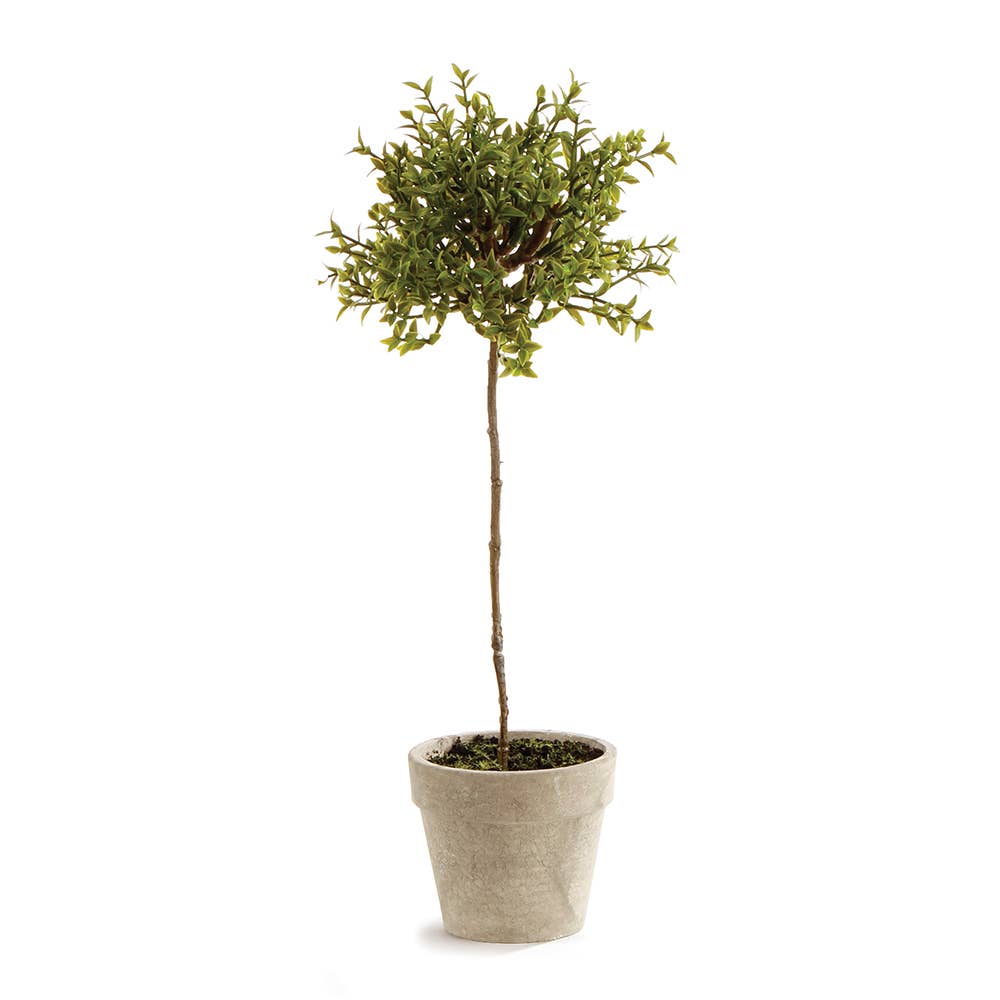 Faux Thyme Topiary