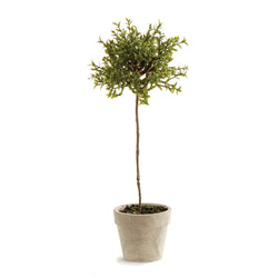 Faux Thyme Topiary