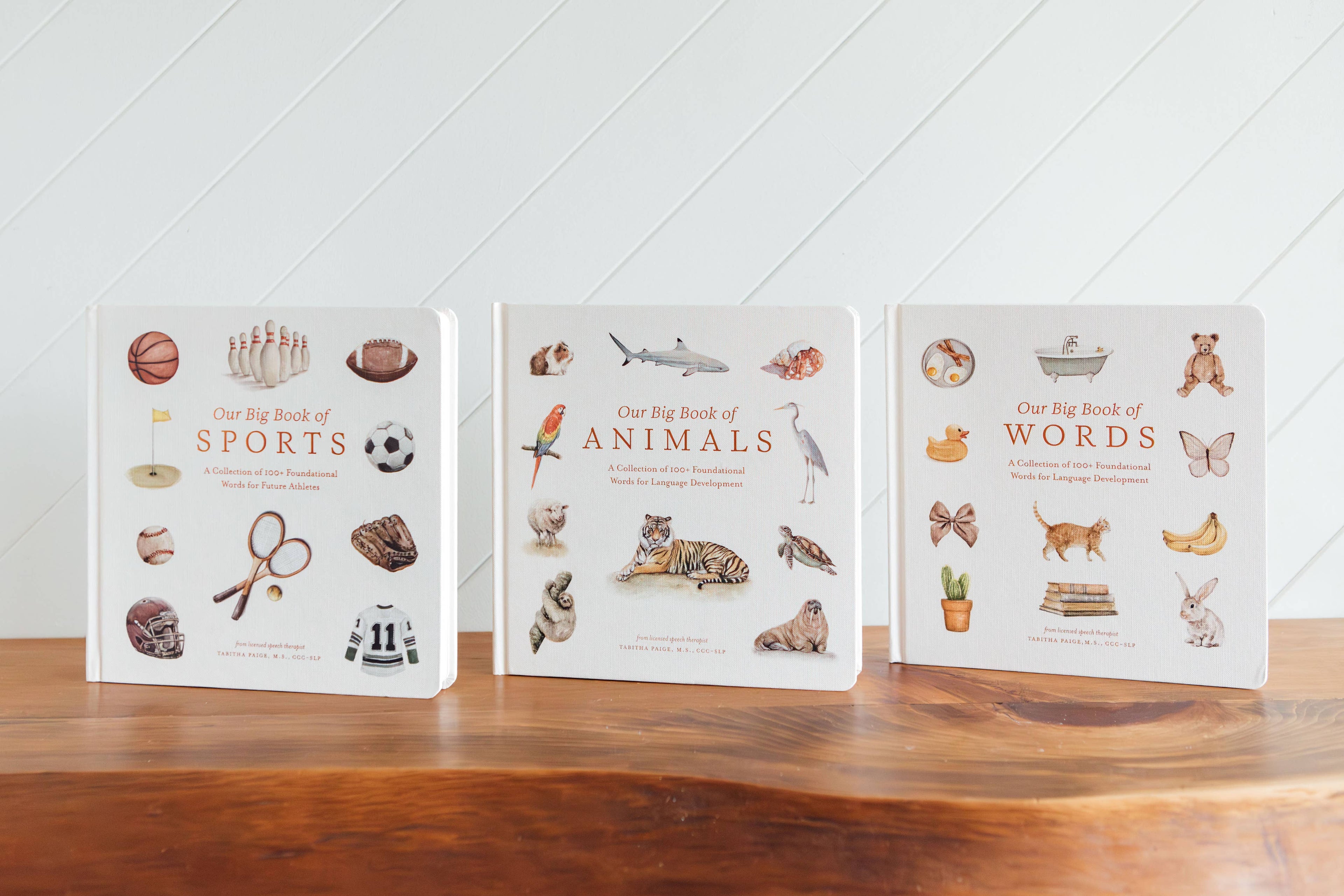 Our Big Book of Animals Board Book