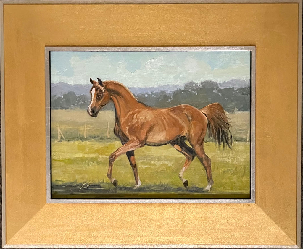 Prince of The Paddock