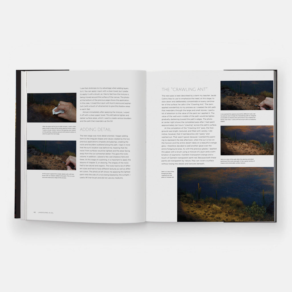 Landscapes in Oil: A Contemporary Guide to Realistic Painting