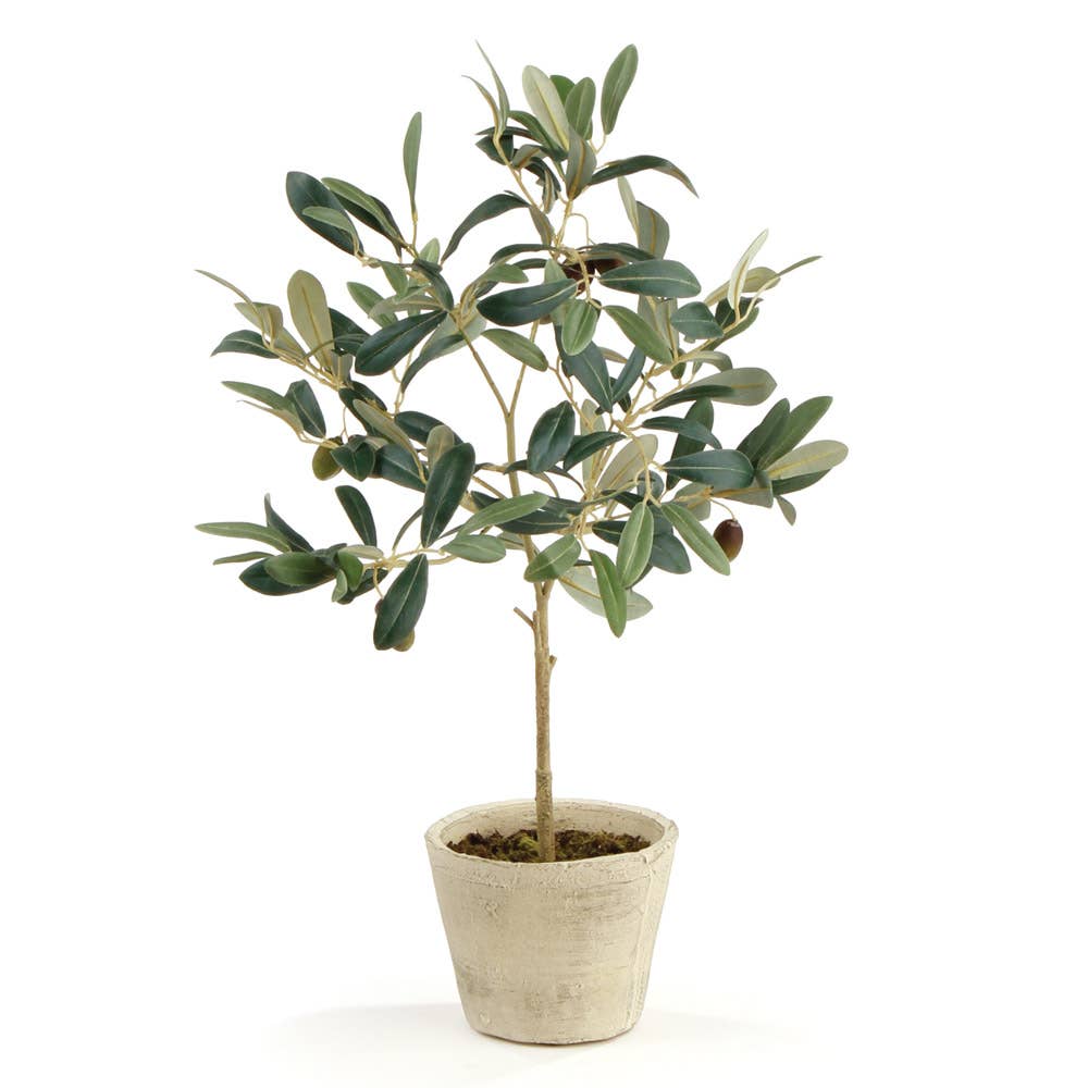Faux Olive Tree With Fruit In Pot