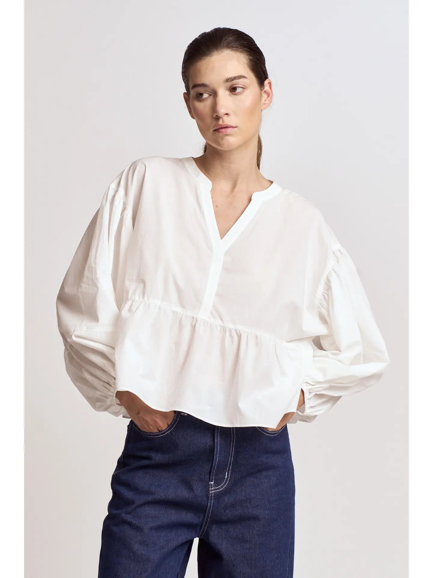Panel Balloon Sleeve Blouse