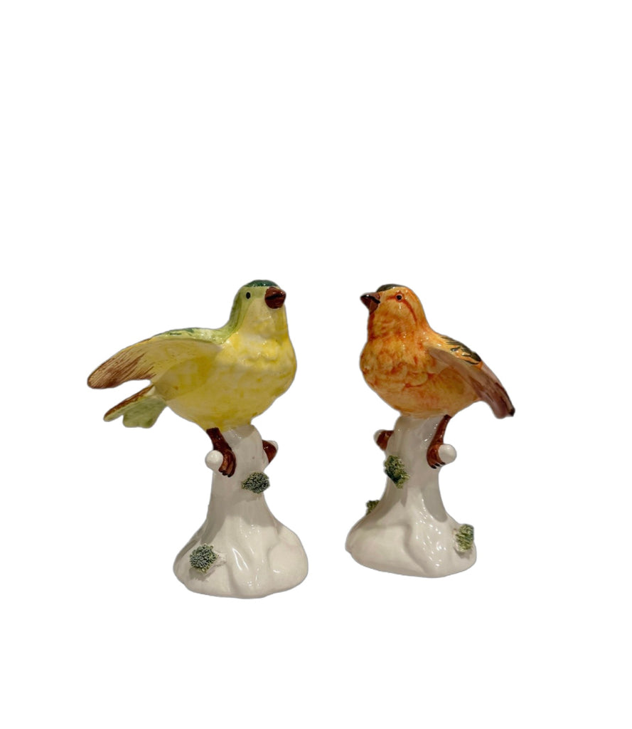 Gloster Canaries