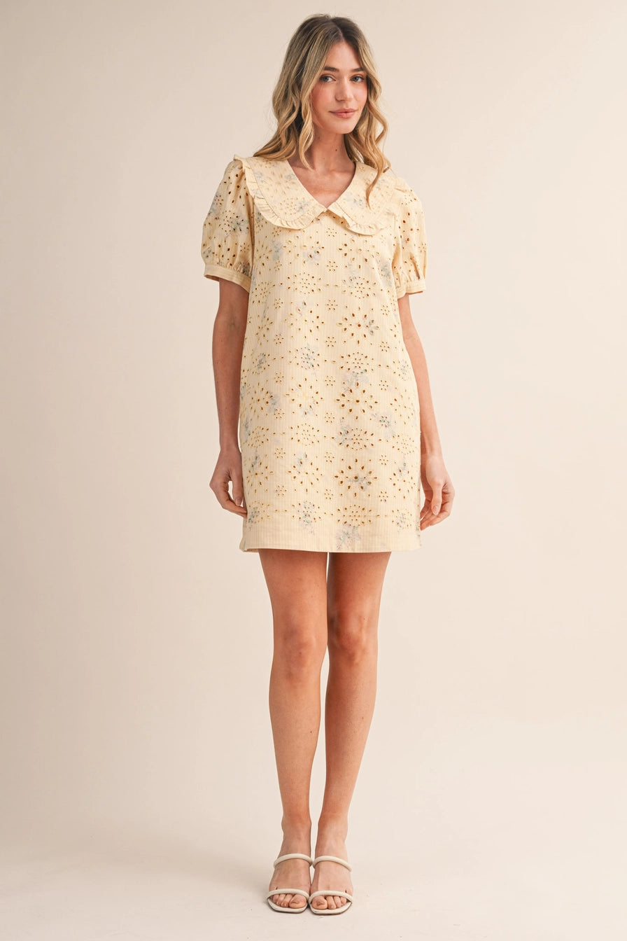 Floral Eyelet Striped Mini Dress