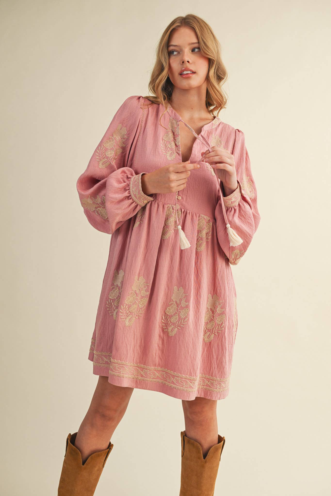 Embroidered Long Puff Sleeve Mini Dress