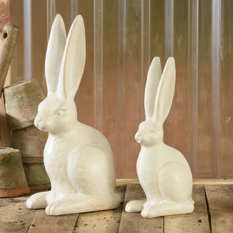 Sitting Hare