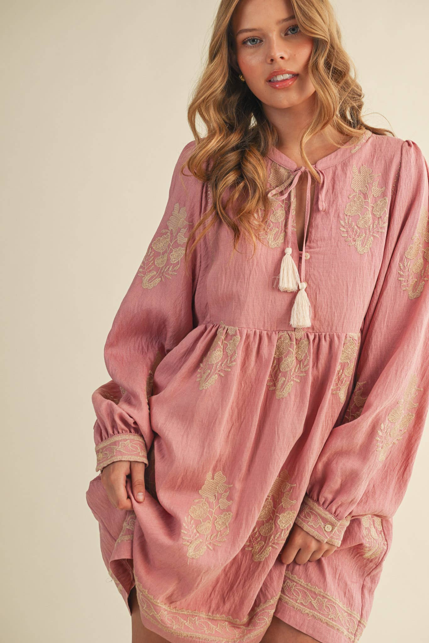 Embroidered Long Puff Sleeve Mini Dress