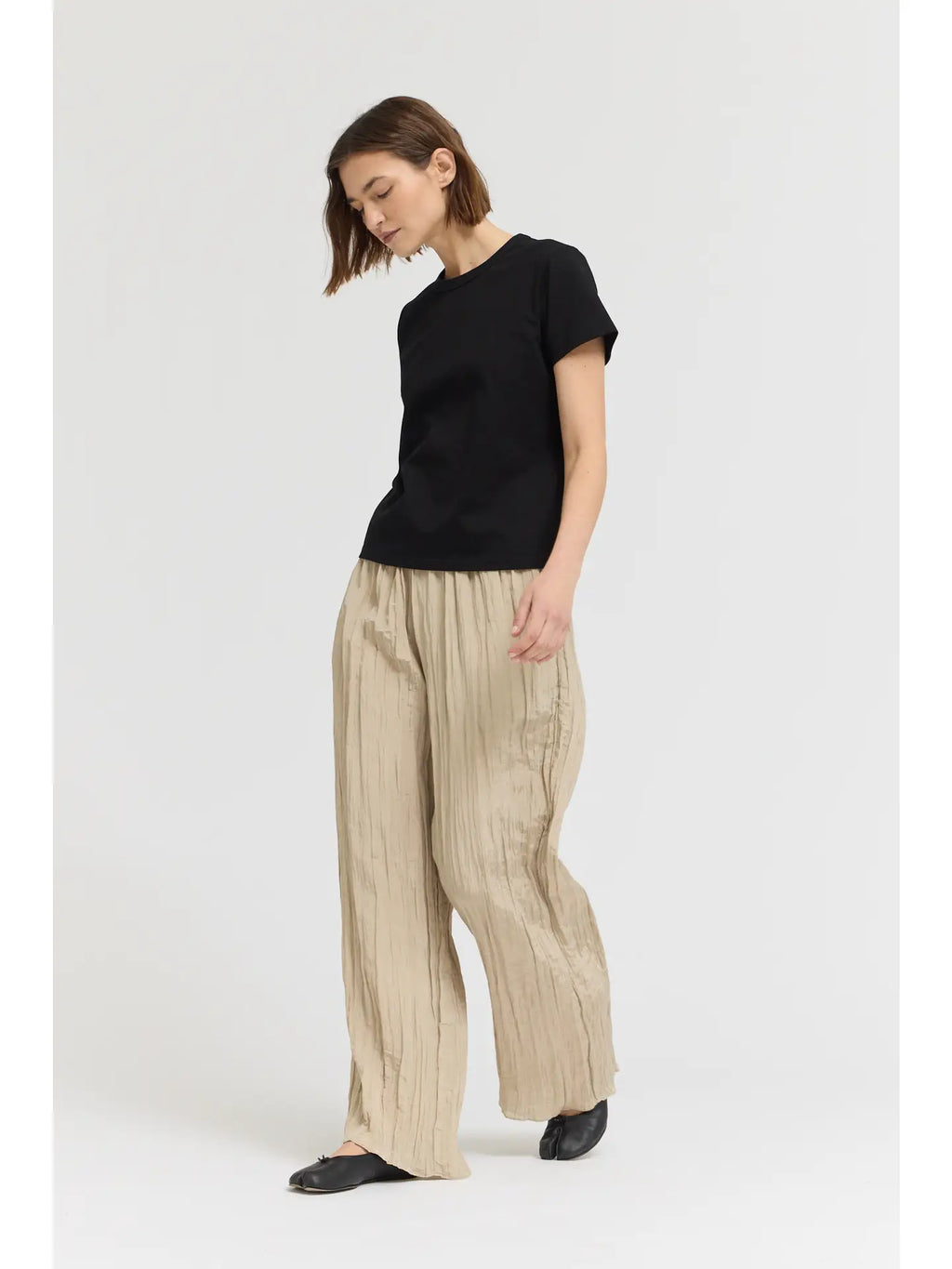 Standard Fit Cotton T Shirt