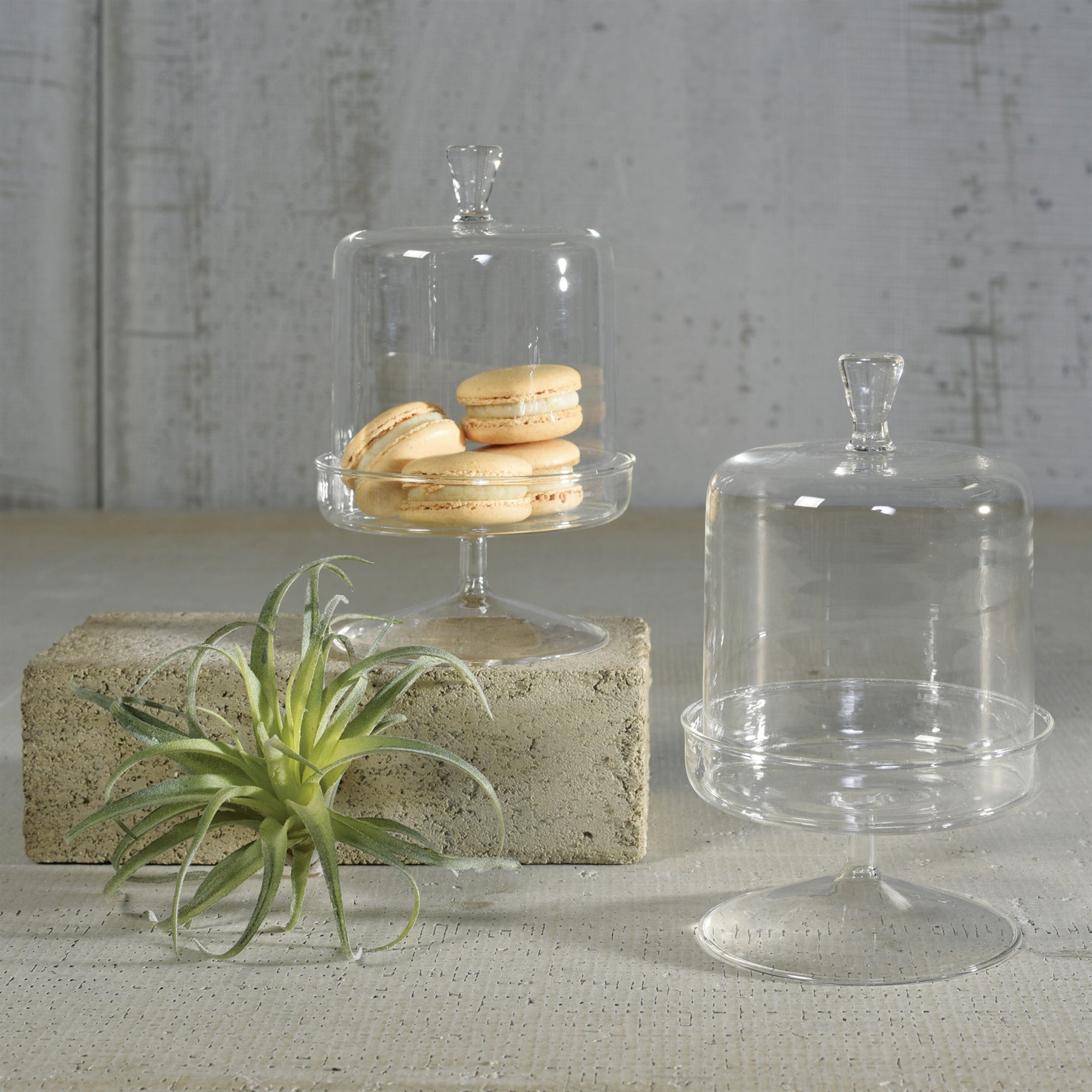 Vera Glass Dome & Pedestal