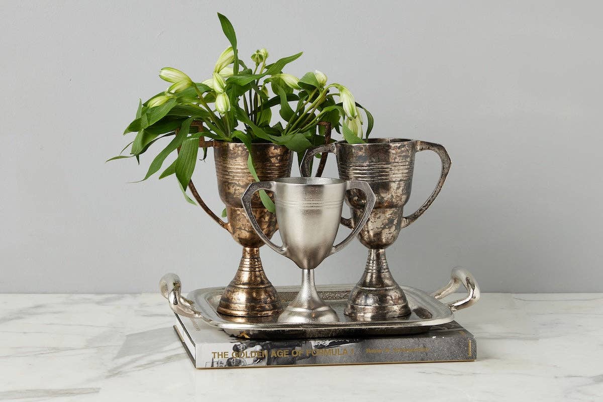 Distressed Silver Vintage Trophy Cup