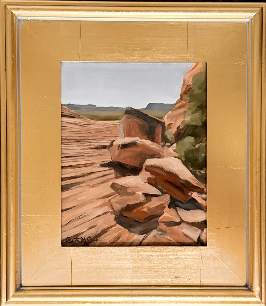 Petrified Dunes