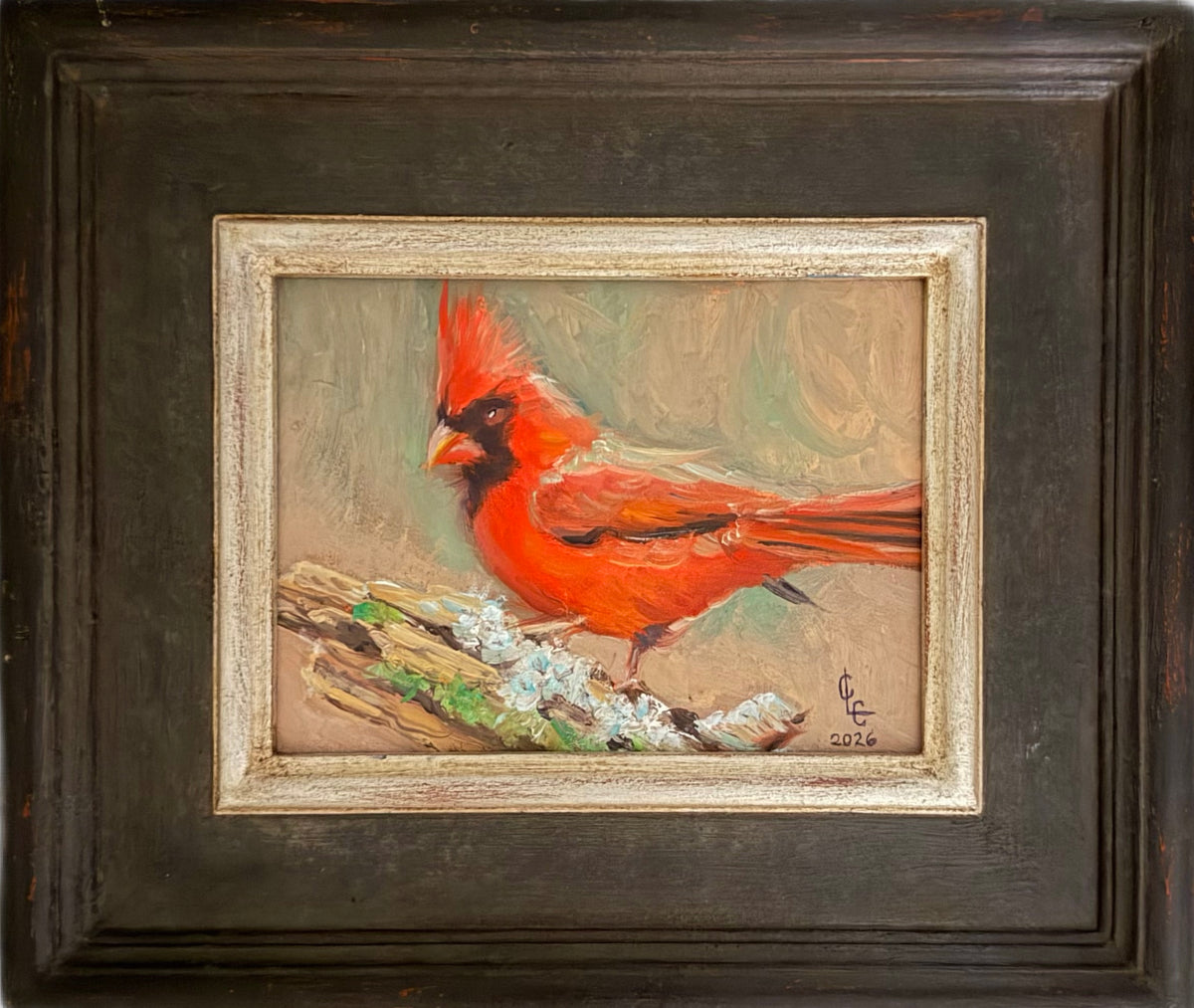 Red Cardinal