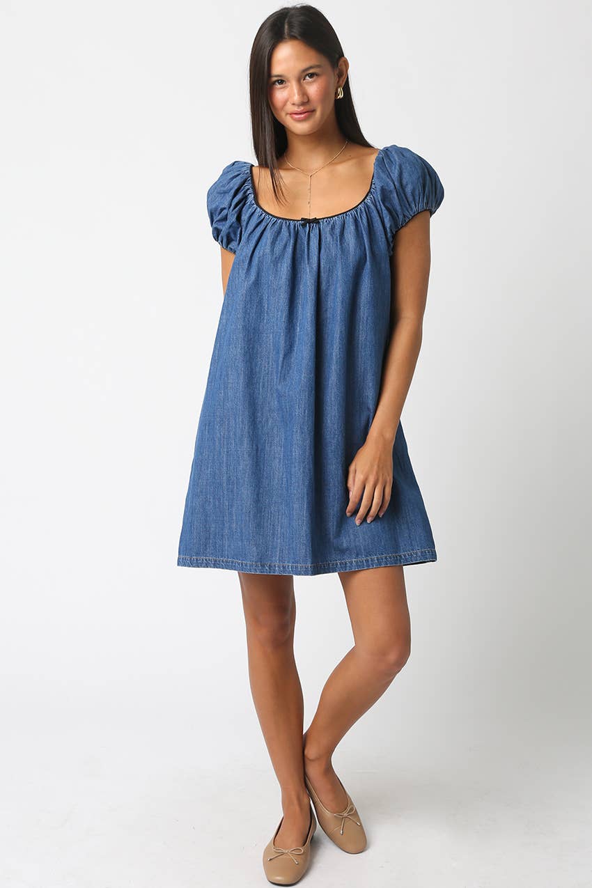 Sasha Denim Babydoll Dress