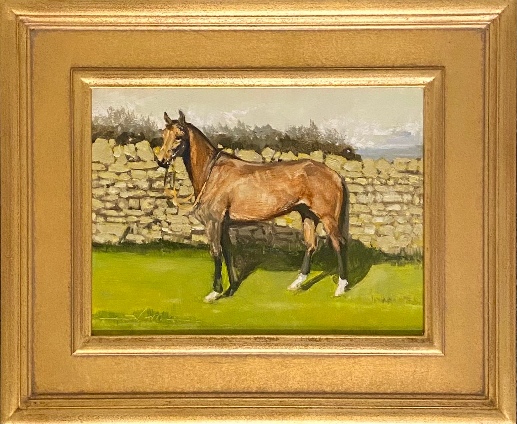 English Thoroughbred