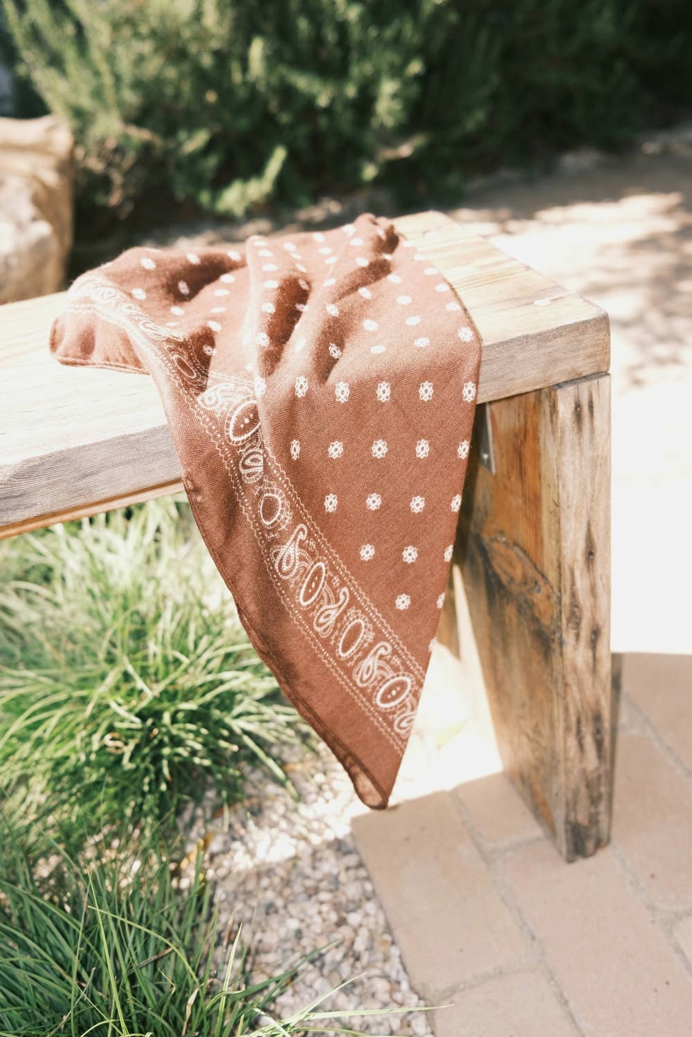 Paisley Border Square Scarf