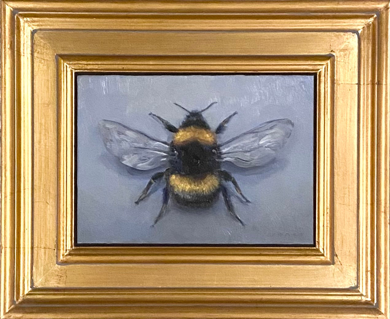 Bumblebee on Blue