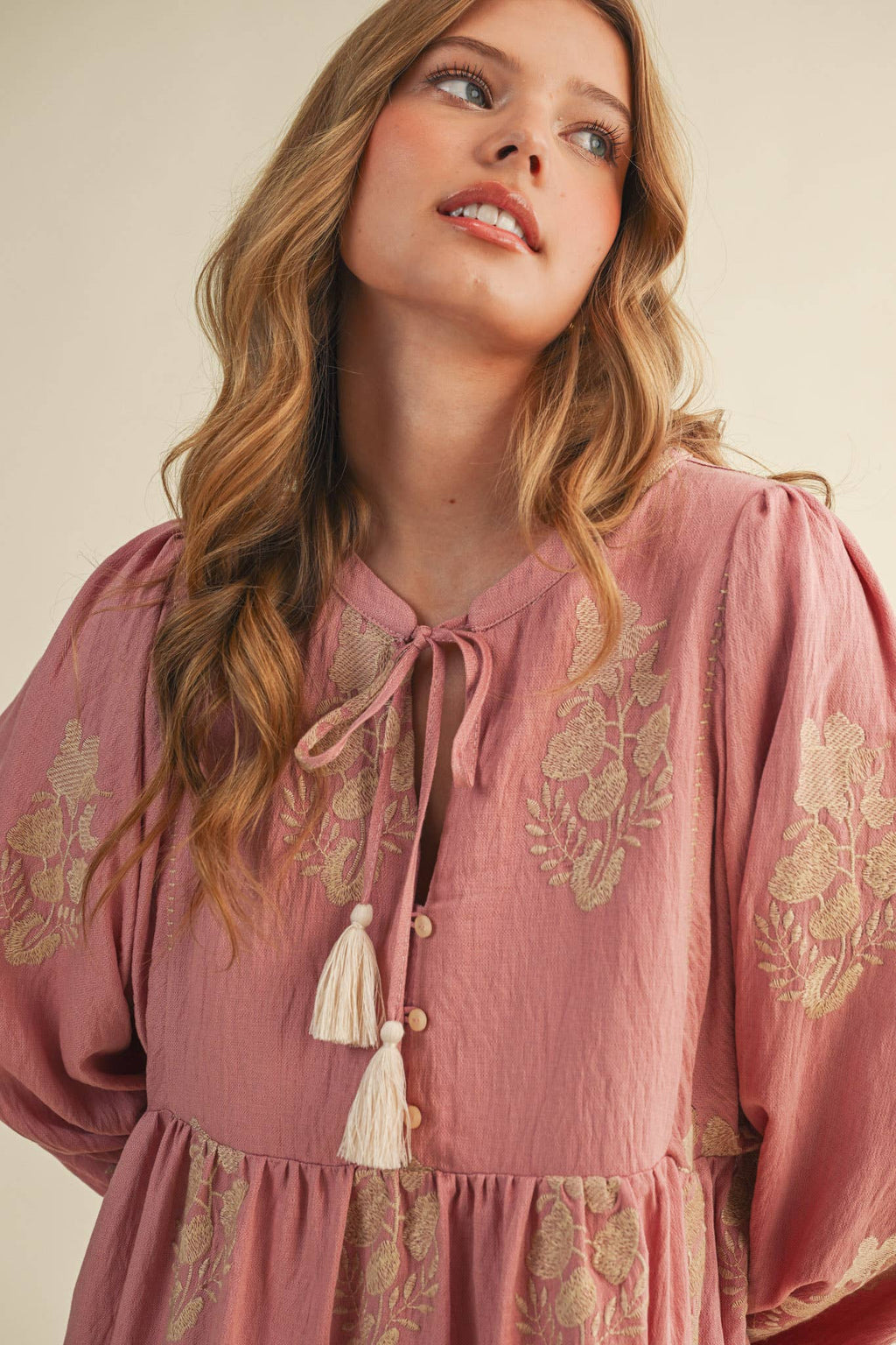 Embroidered Long Puff Sleeve Mini Dress