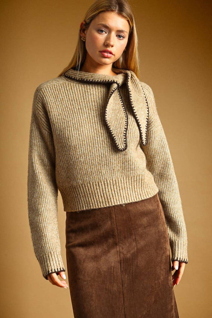 High Neck Tied Neck Sweater Top
