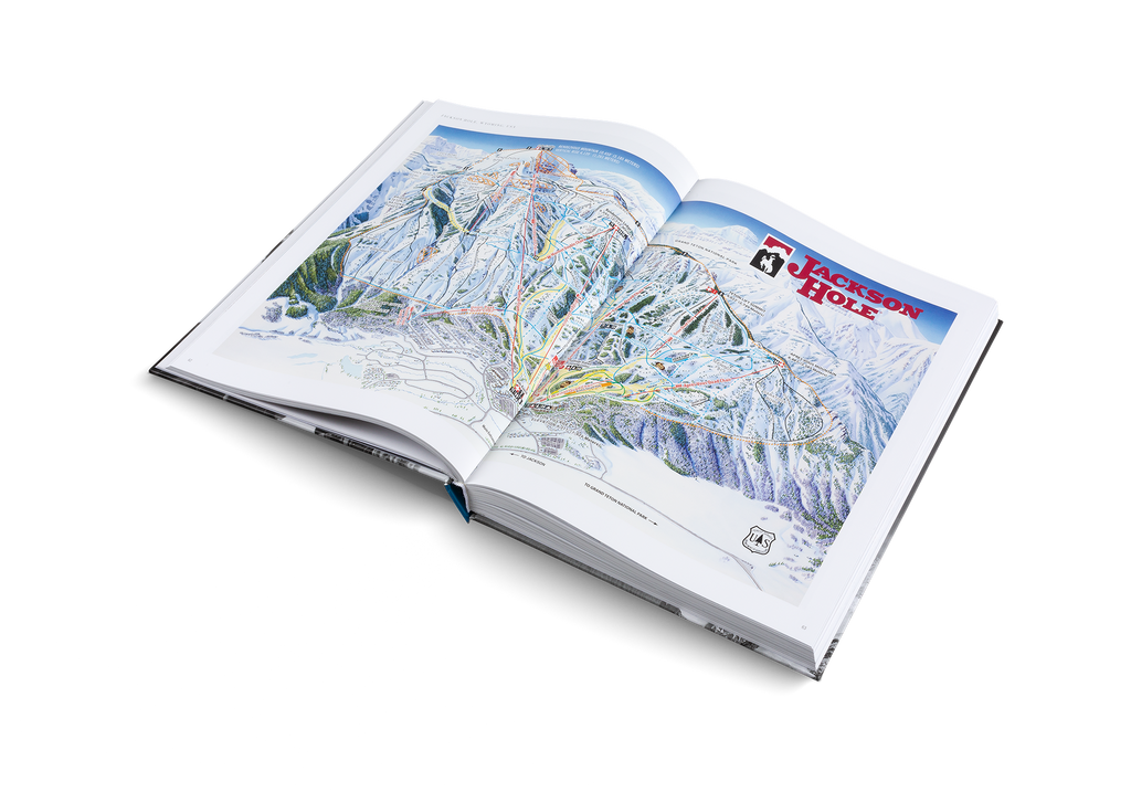 The Ultimate Ski Book (Revised Edition)