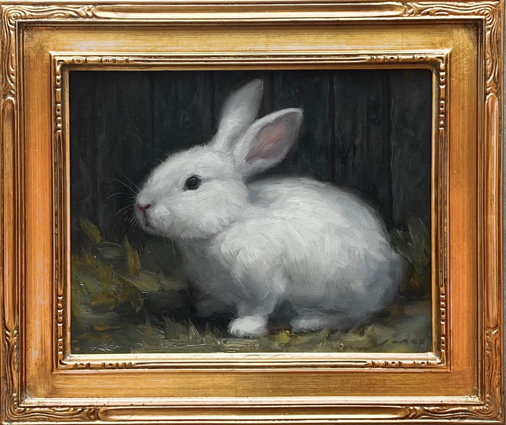 White Bunny