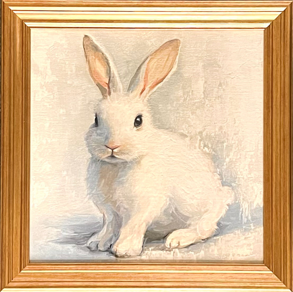 White Bunny